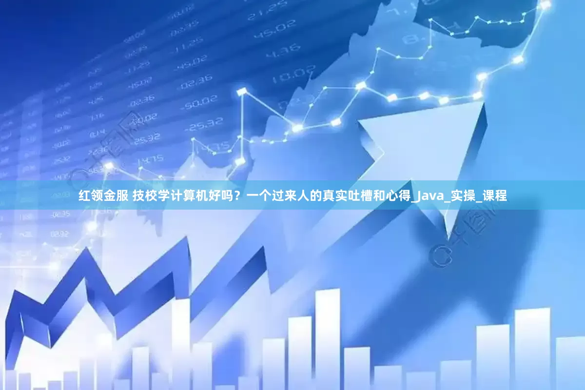 红领金服 技校学计算机好吗？一个过来人的真实吐槽和心得_Java_实操_课程