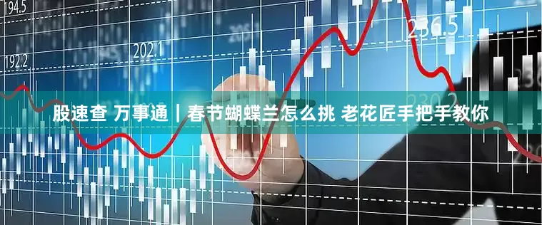 股速查 万事通｜春节蝴蝶兰怎么挑 老花匠手把手教你