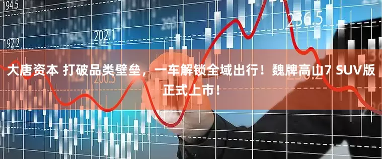 大唐资本 打破品类壁垒，一车解锁全域出行！魏牌高山7 SUV版正式上市！